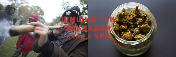 ПСИЛОЦИБИНОВЫЕ ГРИБЫ Елизово