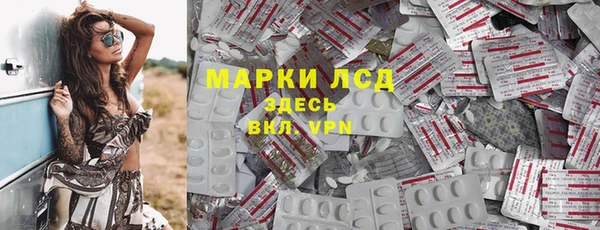 PSILOCYBIN Елабуга