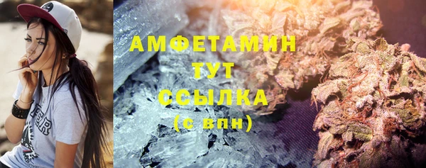 PSILOCYBIN Елабуга