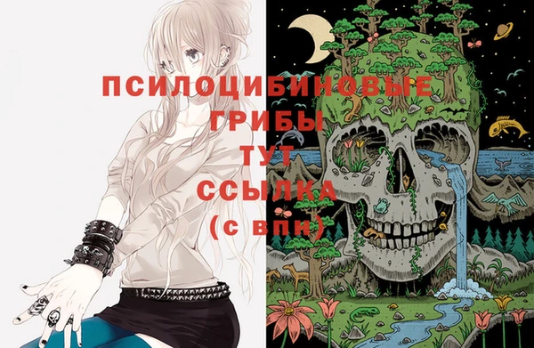PSILOCYBIN Елабуга