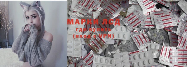 PSILOCYBIN Елабуга