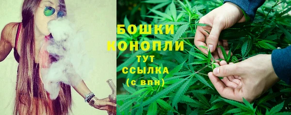 ПСИЛОЦИБИНОВЫЕ ГРИБЫ Елизово