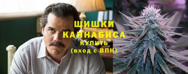 ПСИЛОЦИБИНОВЫЕ ГРИБЫ Елизово